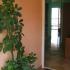 Apartmani Milosevic, AP-6, privatni smeštaj u mestu Bar, Crna Gora